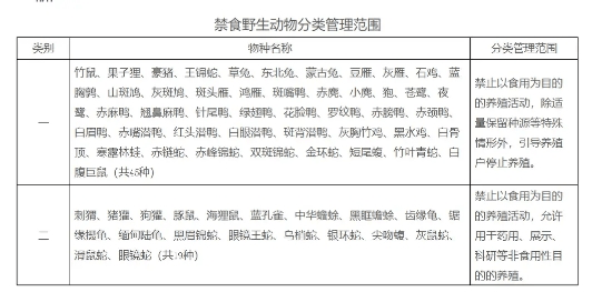最新禁食禁养，自我超越的励志之旅