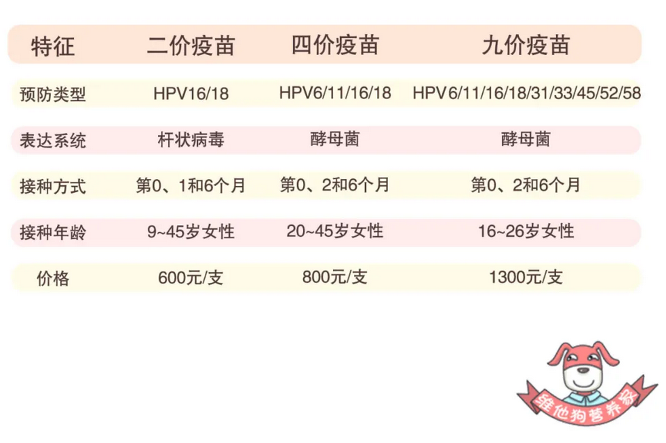 时代背景下的守护之盾，HPV疫苗最新价格解析
